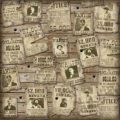 Karen Foster Design Paper, Wanted